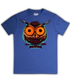 сова на синей